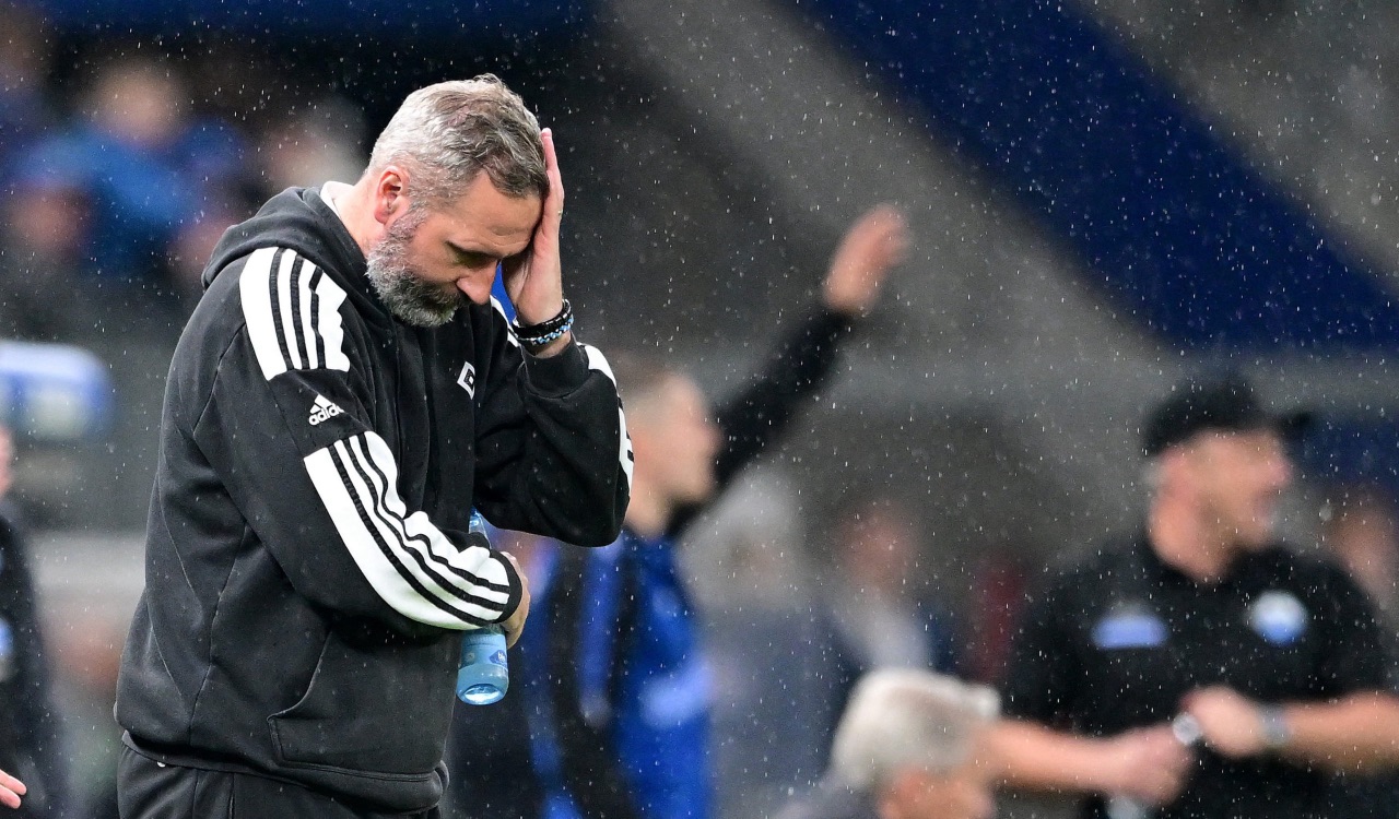 2:2 gegen Paderborn - HSV lässt weiter Federn