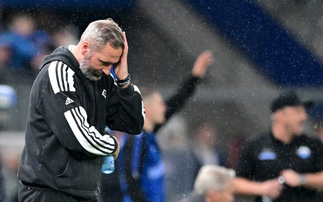 2:2 gegen Paderborn – HSV lässt weiter Federn