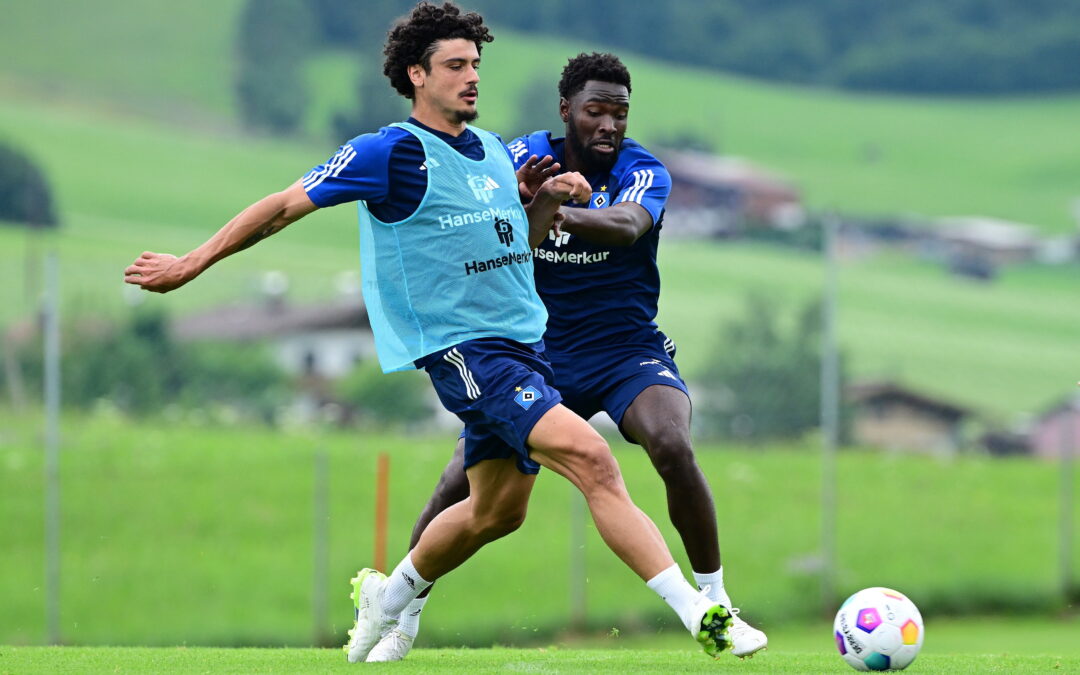 How to fix HSV-Defensive – was noch zu tun ist