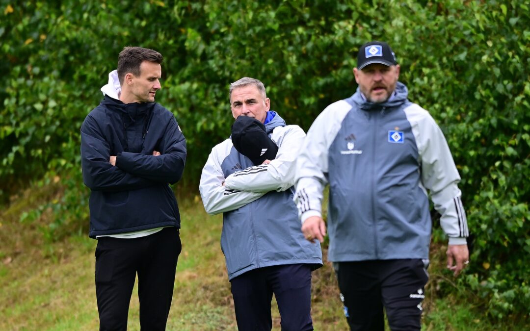 Der nächste Neue für den HSV? Karabec im Anflug