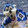 HSV-Seks-Hool